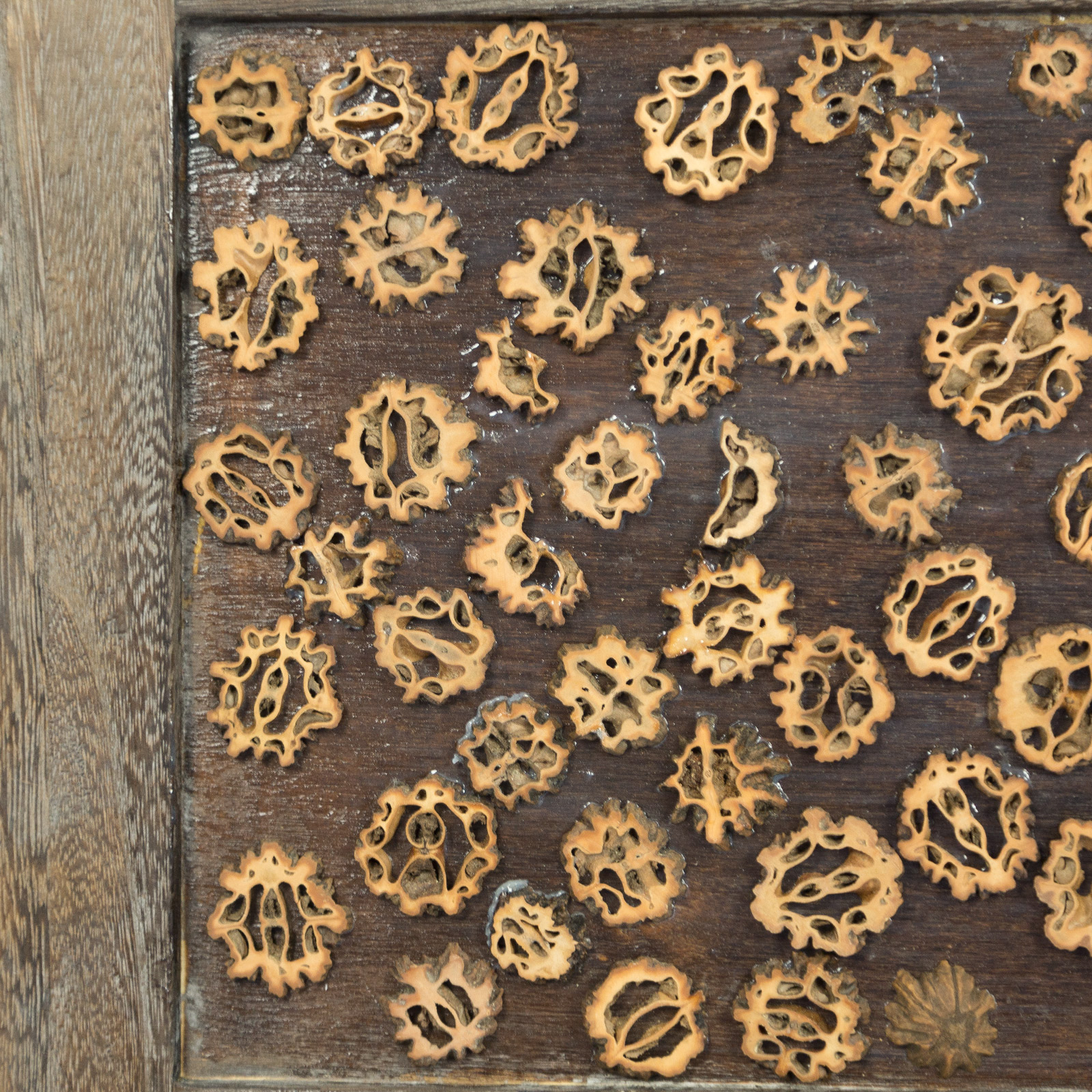 Paravent Brown Decorations | 4-panel | Wood | Room Divider Partition Privacy Screen