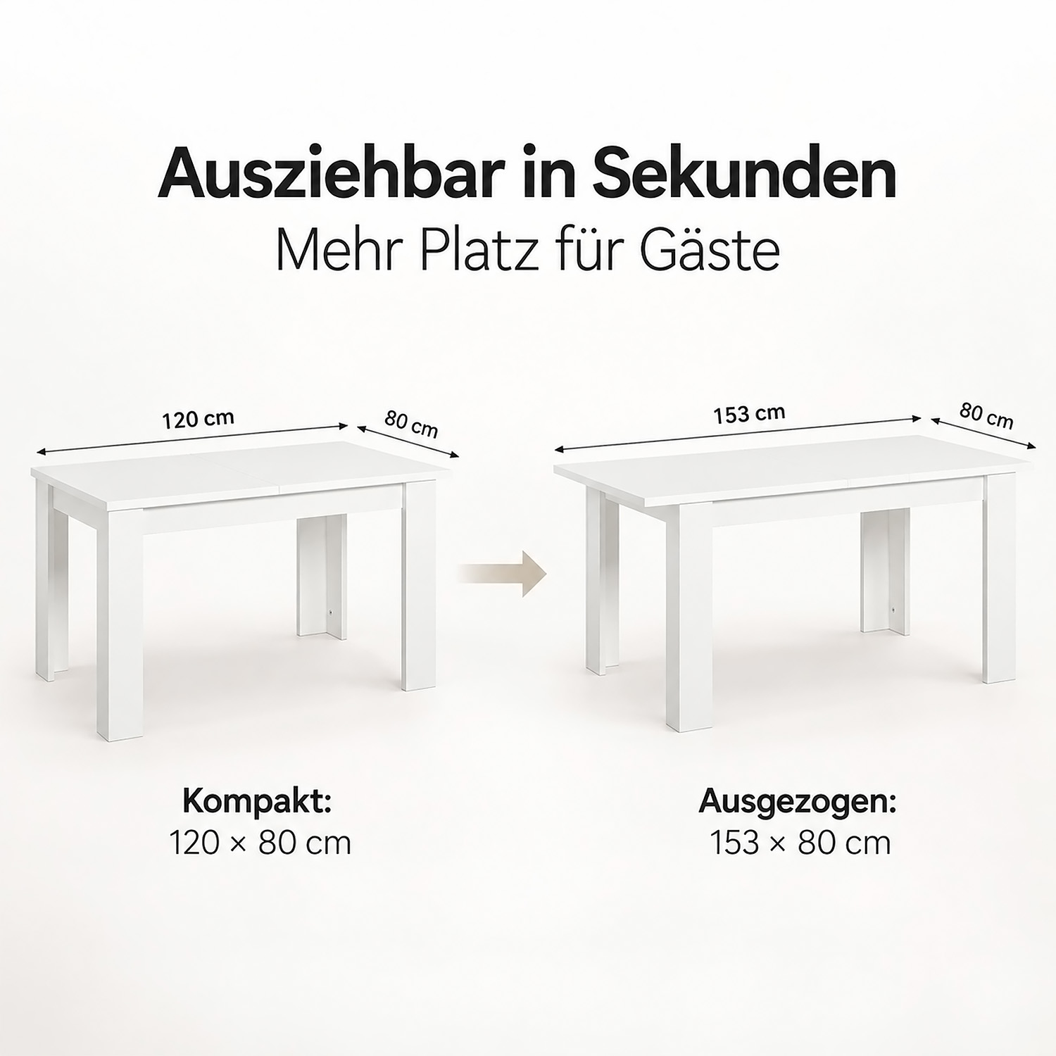 Esstisch mit 2 / 4 Stühlen Set Essgruppe Kunststoff Küchenstühle Weiß Schwarz Grau Holztisch 80 / 120x80 cm