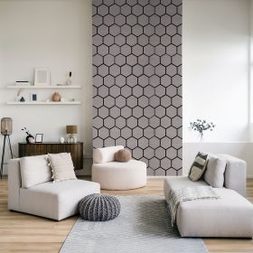 Akustikpaneele in Grau mit Holzelementen und hexagonaler Form. Der Artikel ist freigestellt auf weißem Hintergrund abgebildet. Sichtbare Details sind sechseckige Paneelflächen und dunkle Zwischenräume.